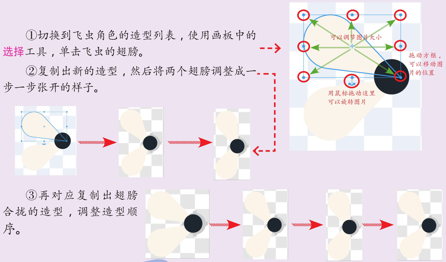 插图